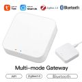 Zigbee 2CH LED Controller DC 12V 24V Smart Dimmer Match with10-Key CCT Wireless Remote for CCT LED Strip Works with Alexa . 
