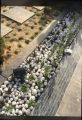 Garden Marble Stones / Pebbles For Decoration for Garden And Pots (1 kg). 