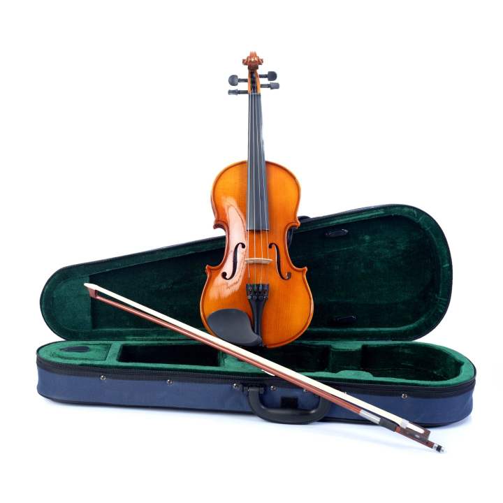 Skylark 4/4 Solid Violin with Blue Case