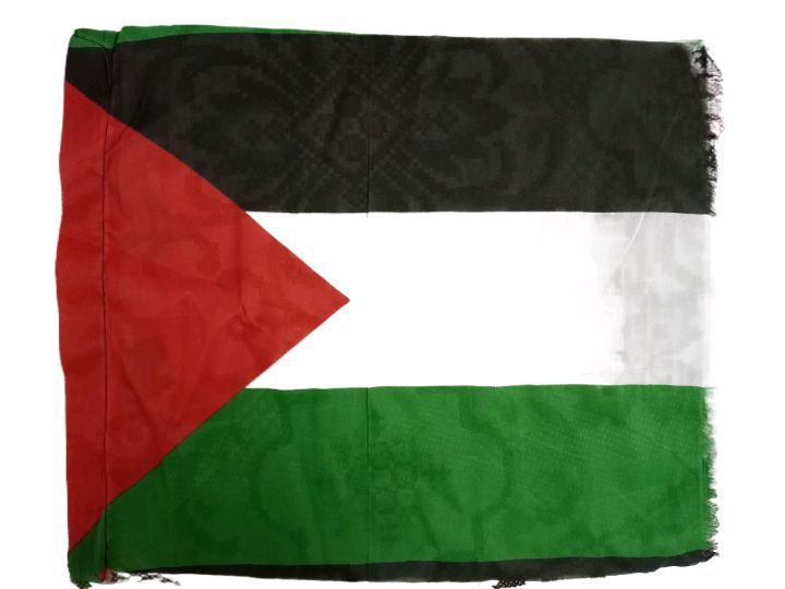 Palestine flag with independence day. local simple suit.size is 2/3 .  2 ft 3 inch length and 1 ft 10 inch width. small flag.