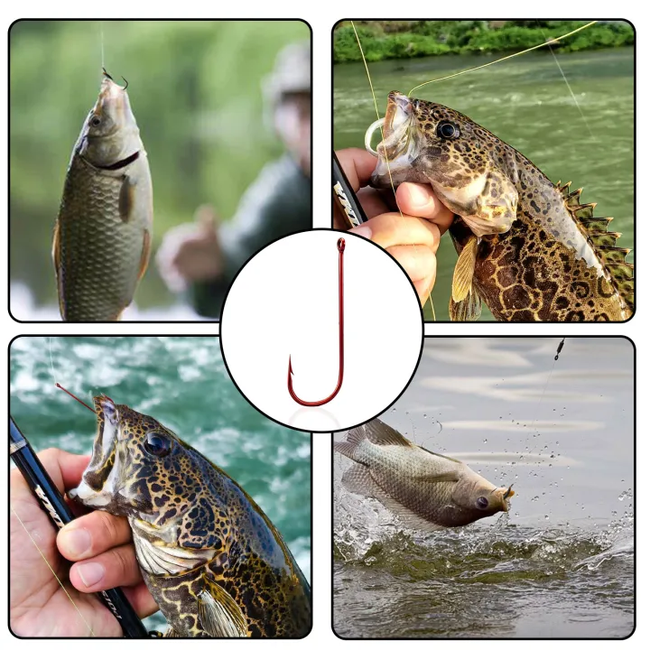 9KM%20Aberdeen%20Hook%20Red%2050-200pcs%202X%20Long%20Shank%20Light%20Wire%20Fishing%20Hook%20for%20Sunfish%20Small%20Bass%20Trout%20Freshwater%20Fishing%20-%20Image%205