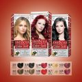 Infocus Hair Color, Fully Synthetic and Permanent Color, 10 Shades. 