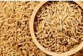PADDY FEED SEEDS FOR BIRDS 1KG. 