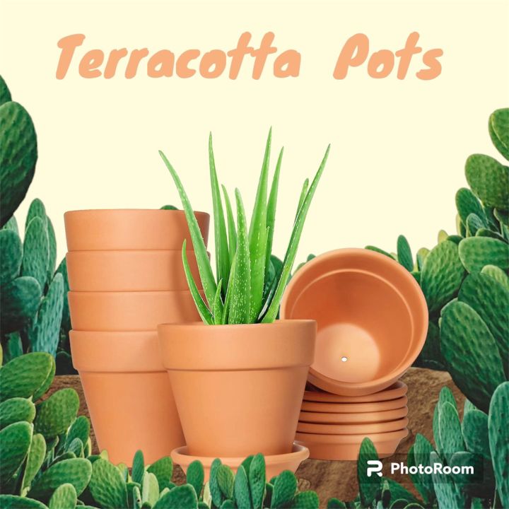 4%20Pack%20Mini%20Terracotta%20Pots%20with%20Drainage%20Holes%20for%20Plants,Hand%20made%20Clay%20Flower%20pot,%20Succulent,%20Cactus%20-%20Image%202