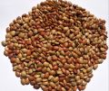 Kollu Seeds Horse Gram 1Kg. 