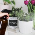 2 Pack Amber Glass Spray Bottles Refillable Empty Bottle for Essential Oils Plants Cleaning Hair Cosmetic Pump Liquid Dispenser. 