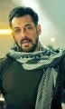Tiget Salman khan Rumal in cotton pure for summer. 