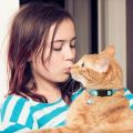 4 PCS Cute Glow Cat Collars Breakaway with Bell & Moons Stars,Kitten Collar for Girl Boy Cats Puppy, Cat Accessories. 