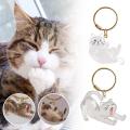 New Transparent Cat Hair Storage Keychain Stretching Lying Style Cute Animal Key Ring Durable Golden Hook Decorative Gift. 