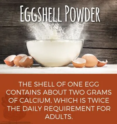 Egg%20Shell%20Powder%20as%20Fertiliser%20for%20gardening%20(100%20gram)%20-%20Image%203