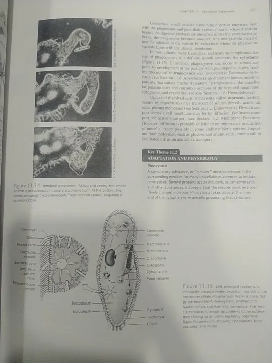 Integrated%20principles%20of%20Zoology%20-%20Image%202