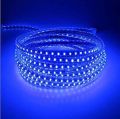 Blue LED Rope ceiling Strip Room Decoration Light Flexible SMD Water Proof with All Sizes party light. 