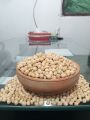 White Chana Bigg Size 1 kg/Mota Chana. 