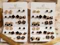 7 Pairs/set Stud Earrings Set with Card Crystal Earrings For Women Fashion Party Jewelry by Gleam&Grace. 