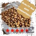 Basra Premium quality by Gohar Dates. 