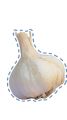Lehsan NARC G1 Bulb 500 Gram. 