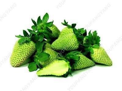 MIXED%20White,Yellow,Red,purple%20Color%20Strawberry%20Seeds%20-30pcs%20-%20Image%207