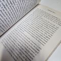 Forbidden Truth by jean charles Brisard & Guillaume Dasquie. 