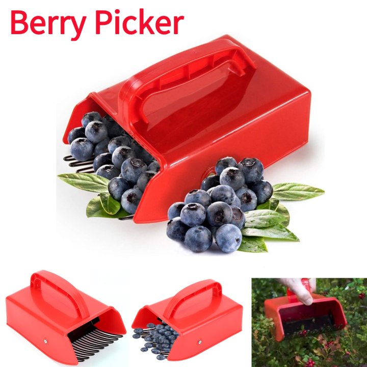 Portable Berry Picker Ergonomic Berry Pick Rake Plastic Handle Picking ...