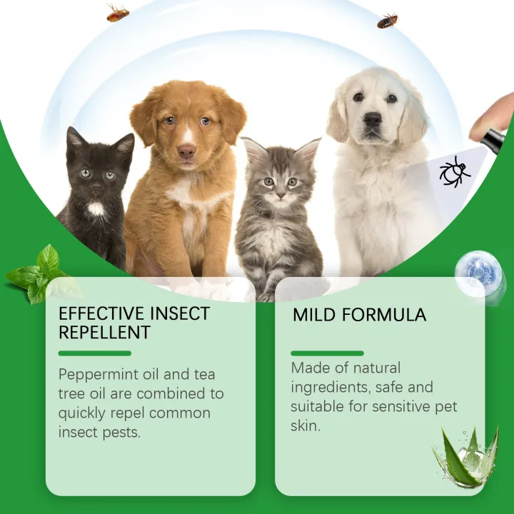 Mite%20Removal%20Spray%20Cats%20Dogs%20Flea%20Killer%20Itching%20Relief%20Remove%20Ticks%20Cat%20Allergy%20Treatments%20Anti%20Lice%20Insect%20Pet%20Skin%20Care%20Spray%20-%20Image%205