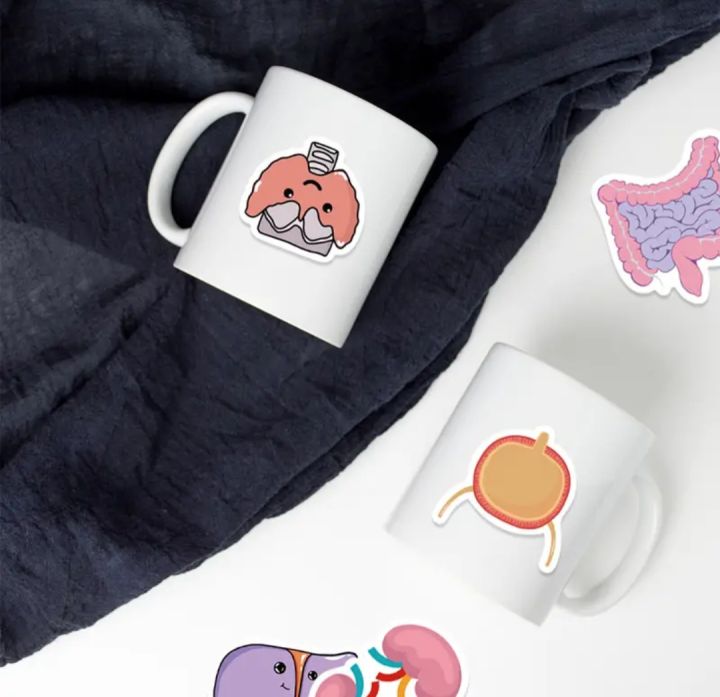 25%20pcs%20internal%20anatomy%20of%20human%20being%20funny%20stickers%20for%20doctor's%20%20laptop,%20mobile%20,diary%20,books%20and%20for%20science%20students%20,kids%20etc...%20-%20Image%206
