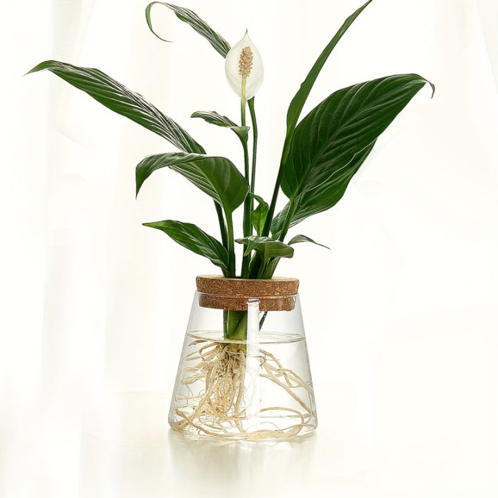 1pc,%20glass%20flowerpot%20breeding%20station%20vase%20rack%20desktop%20hydroponic%20plant%20cuttings%20office%20home%20decoration%20-%20Image%204