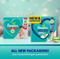 Pampers Diapers Baby Pants Anti- Rash Blanket Medium 76 Pcs. 