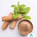 Sandalwood Perfume Attar - 100% Alcohol-Free Fragrance for Men and Women (6 ml). 