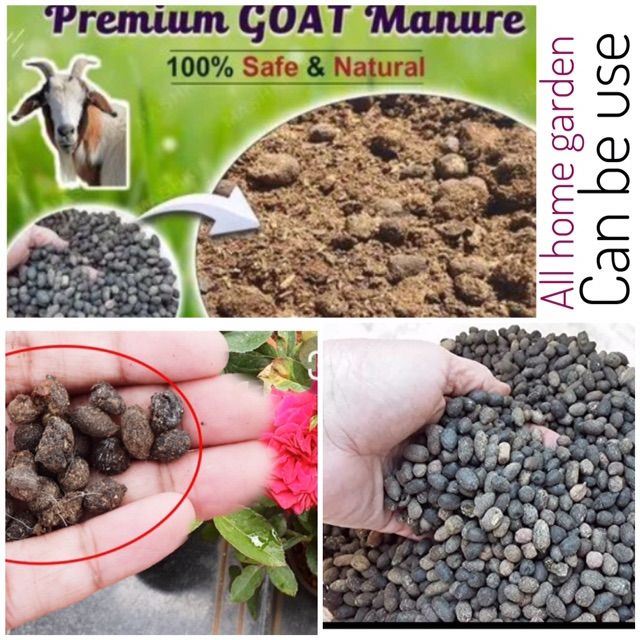 Goat manure fertilizer 1kg home garden