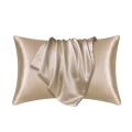100% Natural Mulberry Silk Pillowcase Hair/Skin Protection,Anti-Frizz & Wrinkle-Resistant Hypoallergenic.