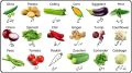 Kitchen Gardening Summer Vegetables Seeds. 