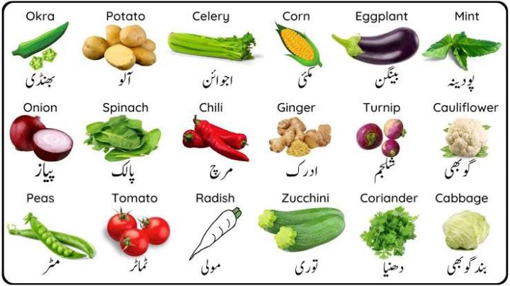 Kitchen Gardening Summer Vegetables Seeds