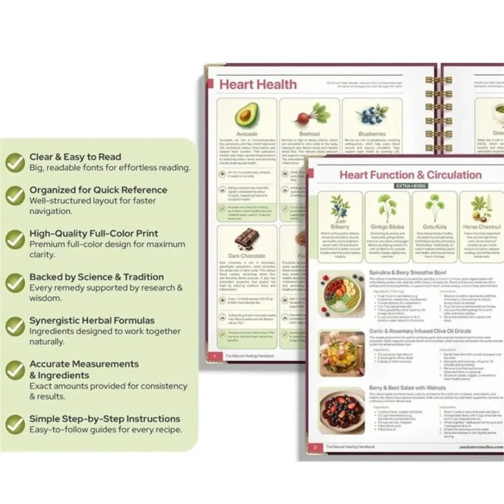Natural%20Healing%20Handbook%20Spiral%20Bound%20Guidebook%20For%20Herbal%20Remedies%20And%20Holistic%20Health%20Support%20With%20Step%20By%20Step%20Protocols%20-%20Image%203