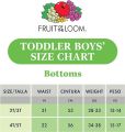 Fruit of the loom toddler boys briefs tag free, assorted colors. 