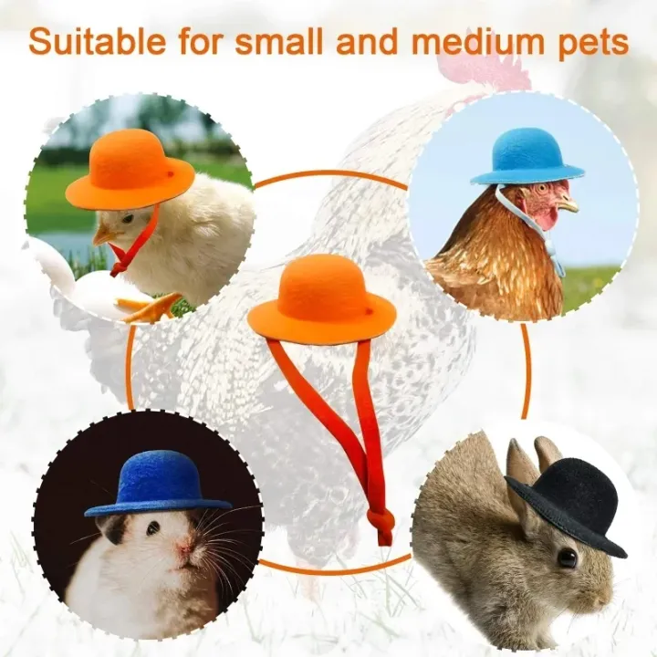 Funny%20Chicken%20Top%20Hat%20-%20Elegant%20Show%20Costume%20Accessory%20for%20Chickens,%20Roosters,%20Ducks,%20Parrots%20&%20Hamsters%20-%20Image%203