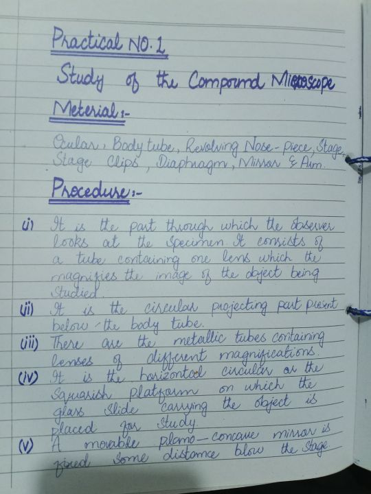 Practical%20Notebook%20Biology%20class%2011,12%20(%20Fully%20Solved,%20unchecked%20)%202025%20Edition%20-%20Image%203