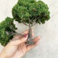 1pc Realistic Fruit Tree Decor, Miniature Sand Table Building Model Decoration, DIY Fruit Trees Miniature Landscape Decoration. 