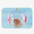 Hamster Exercise Ball Transparent Hamster Running Ball Wheel With Traction Rope For Small Animals Pet Supplies 14cm/18/cm. 