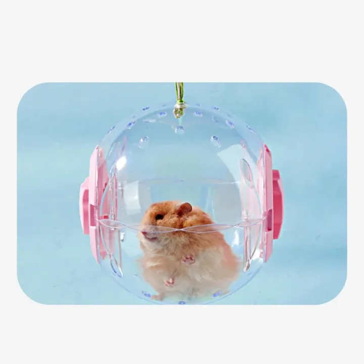 Hamster%20Exercise%20Ball%20Transparent%20Hamster%20Running%20Ball%20Wheel%20With%20Traction%20Rope%20For%20Small%20Animals%20Pet%20Supplies%2014cm/18/cm%20-%20Image%206