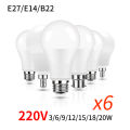 6Pcs/Lot  E27 E14 B22 LED 220V  3W 6W 9W 12W 15W 18W 20W Led Bulb Cold White Led Lights For Living Room Use. 
