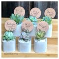 Mini cactus vase for home decor also plantable or other useable(without plant). 