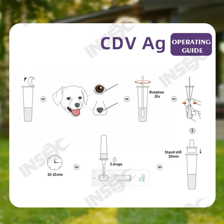 CDV%20/%20CPV%20/%20FPV%20Pet%20Test%20Kit:%20Feline%20Panleukopenia%20Test,%20Canine%20Distemper%20Test,%20Dog%20Parvovirus%20Stool%20Test%20-%20Image%205