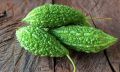 Ucche/ Bitter gourd (উচ্ছে/উসতে) Seeds (10 Seeds)..