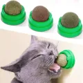 The Catnip Cat Wall Stick-on Ball Toy Scratchers Treats Healthy Natural Removes Balls to Promote Digestion Cat Grass Snack. 