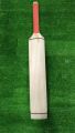 cricket bat plain. 