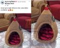 Cat house for persian and deshi cat(large size cat home). 