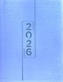 Executive Single Date Diary for the year 2026. 