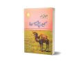 Man Chalay Ka Sauda By Ashfaq Ahmad Best Selling Urdu Novel KS. 