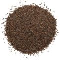 Jarjeer Salad Seeds. Arugula Rocket. Pack of 5. 