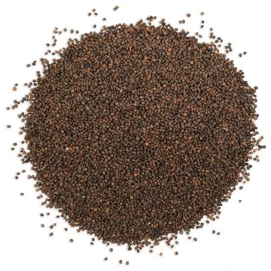 Jarjeer%20Salad%20Seeds.%20Arugula%20Rocket.%20Pack%20of%205%20-%20Image%203